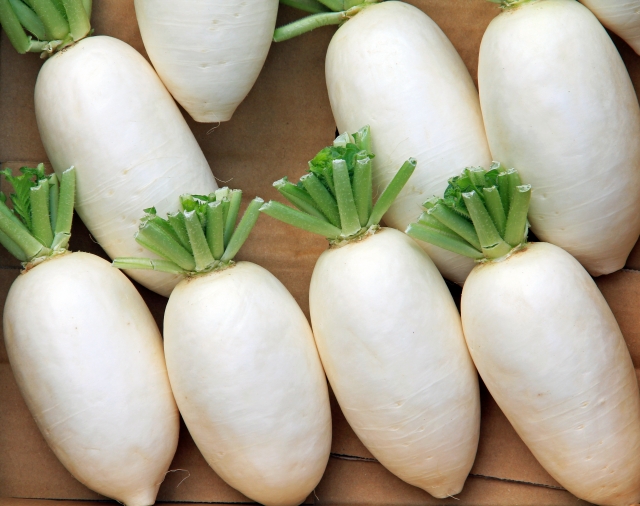 大根